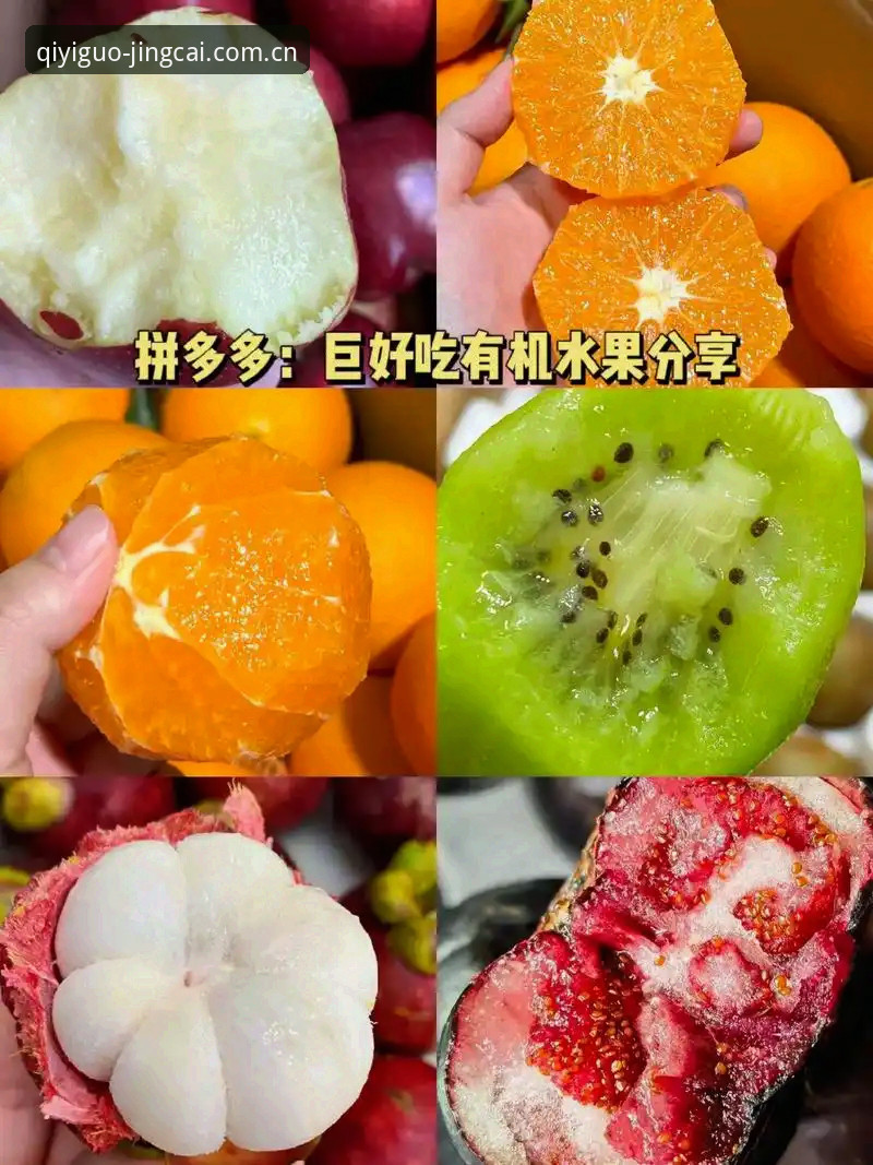 新手必看！奇异果体育安卓版评测：从下载到实战的完整使用心得